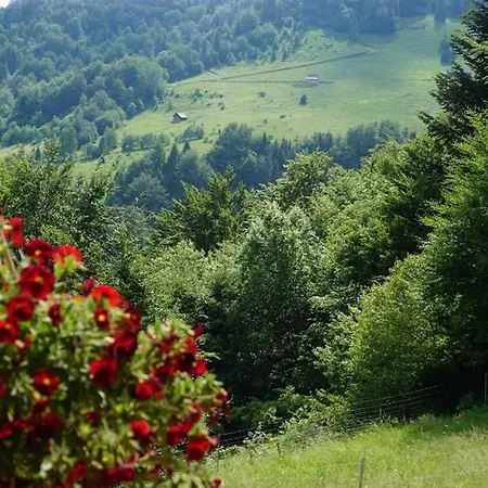 Gorczanskie Siedlisko Chalet